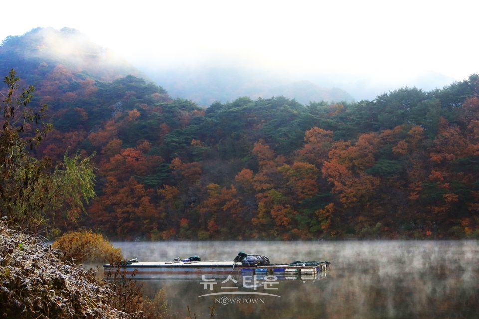 물안개 피는 인제 소양강의 새벽