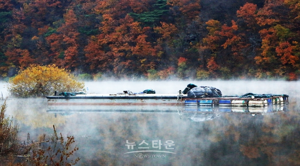 물안개 피는 인제 소양강의 새벽