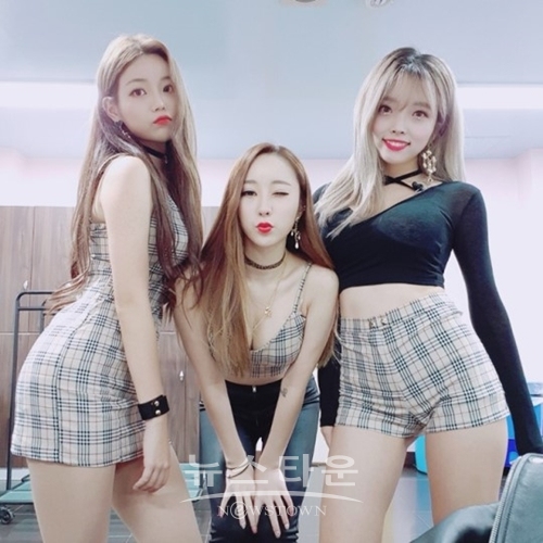 담엔터테인먼트 소속사 스위치(스위치베리)