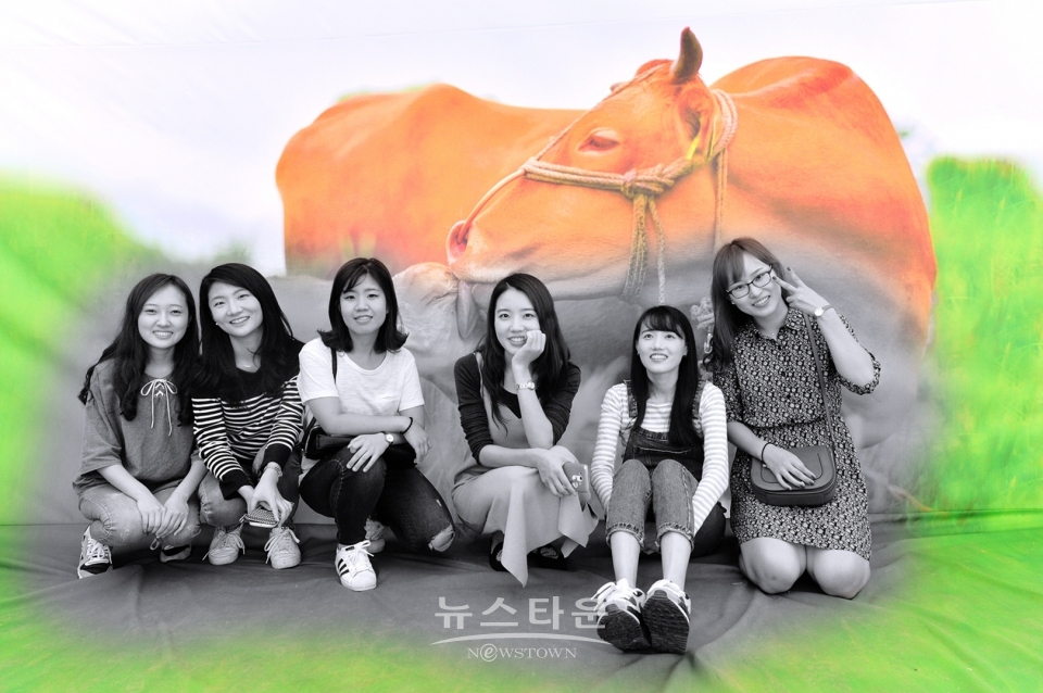횡성한우축제 자료사진