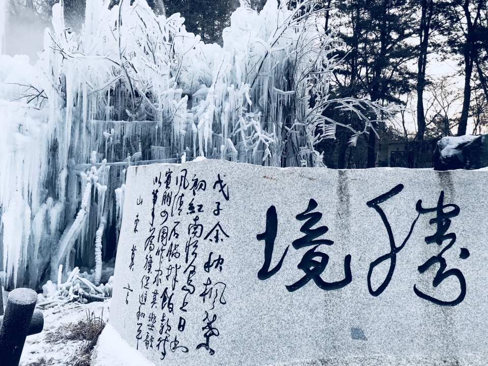 남이섬의 사계