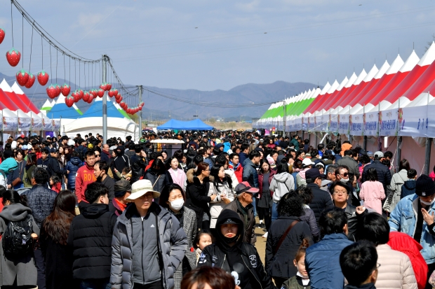 2018 딸기 축제장