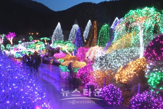 아침고요수목원 오색별빛정원전