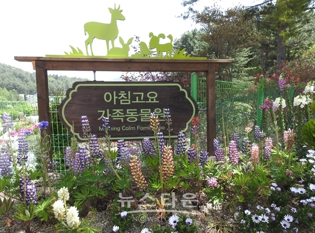 아침고요가족동물원