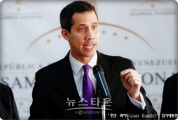 독일, 영국, 프랑스, 스페인, 스웨덴, 포르투갈, 덴마크, 오스트리아, 체코공화국 그리고 네덜란드는 이날 후안 과이도 국회의장을 베네수엘라의 임시대통령으로 인정했다.