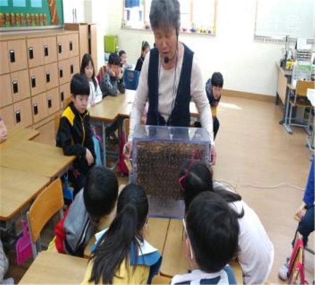 농촌체험 모습(투명 벌집통으로 꿀벌 관찰)