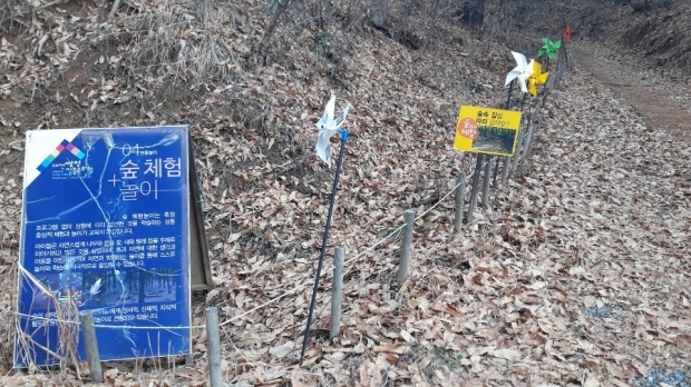 쌍청회관 주위에 시설된 숲체험놀이시설