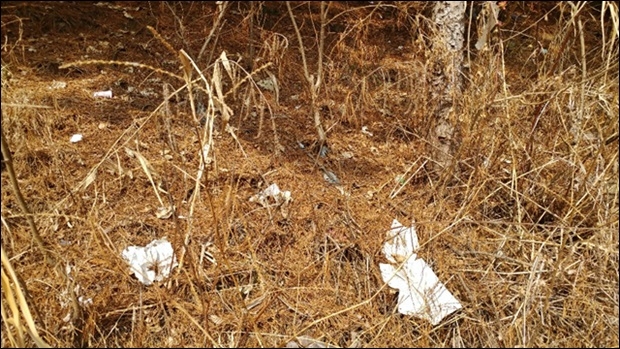 페지가 바람에 휘날려 아세아제지 공장 밖까지 날라 온 모습