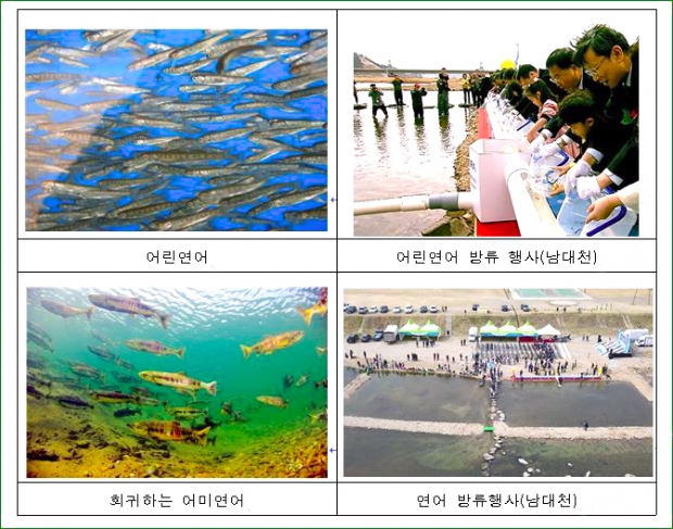 지난해 행사사진