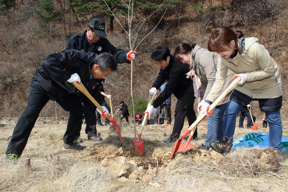 인제군 식목일행사