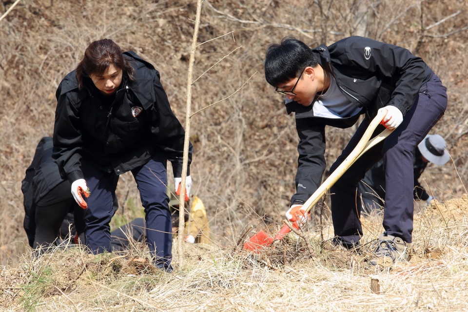 인제군 식목일행사