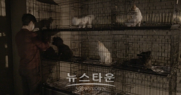 ‘뽀시래기’ 유기동물 영상 캠페인, “버려지는 월 1만 마리 동물 위해”