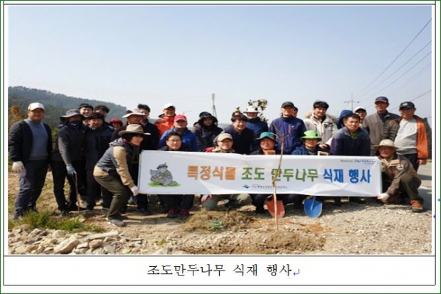 조도만두나무