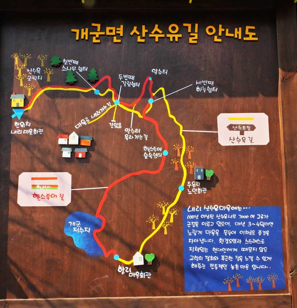 산수유마을 홍보판관 산수유한우축제 홍보물, 그리고 산수유시조목에 대한 글이 적힌 비석