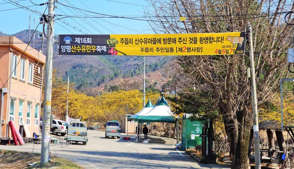 산수유마을 홍보판관 산수유한우축제 홍보물, 그리고 산수유시조목에 대한 글이 적힌 비석