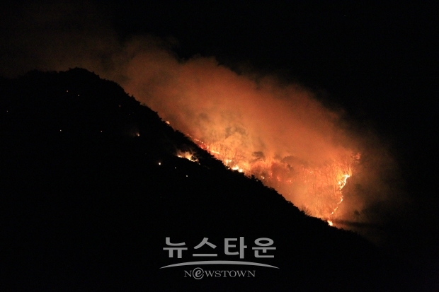 설화산 산불