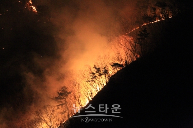설화산 산불
