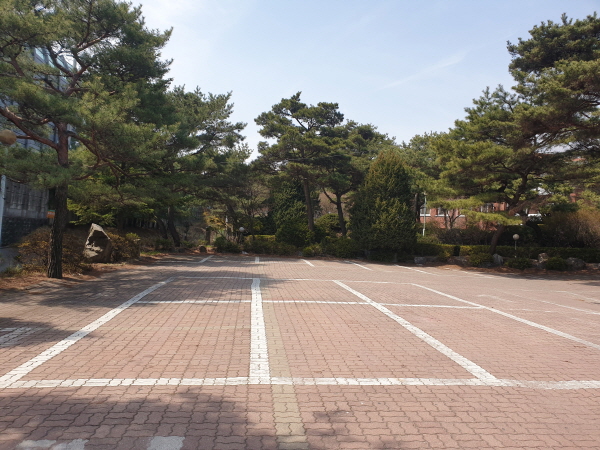구획선이 그려진 무단 점용한 주차장