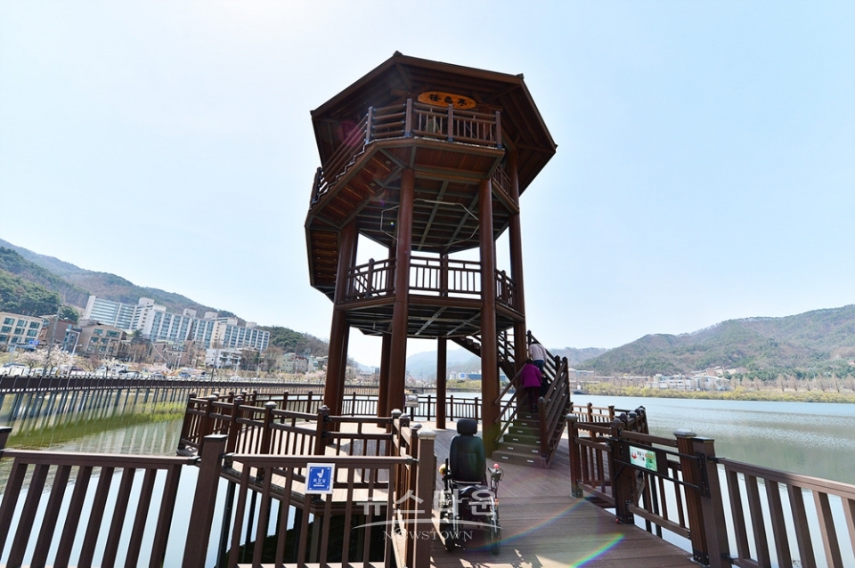 연세대 원주캠퍼스의 봄날