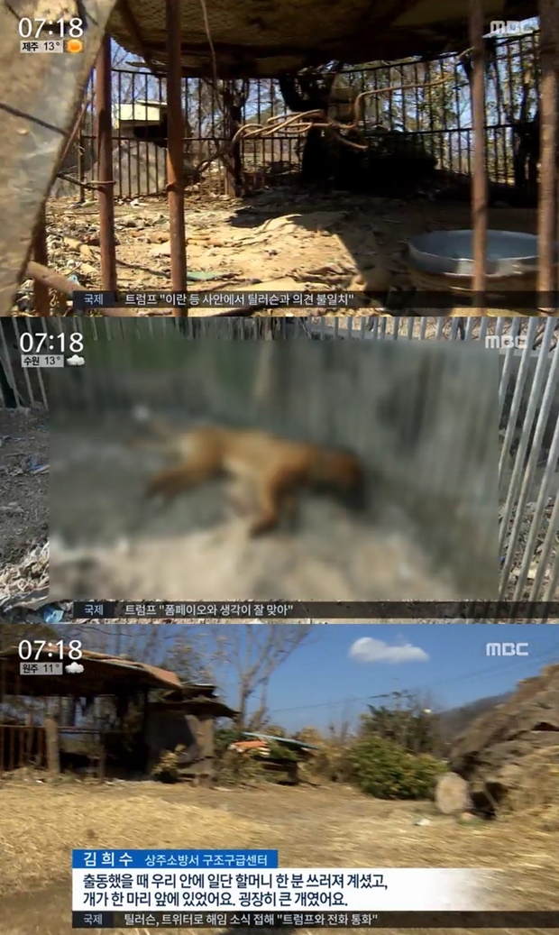 도사견에 사망 사건 (사진: MBC)
