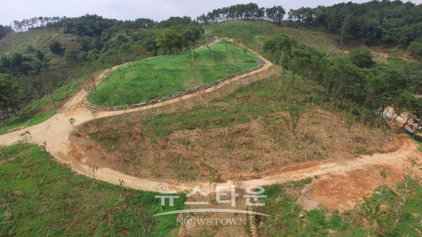 진주 비봉산 숲 가꾸기 현장