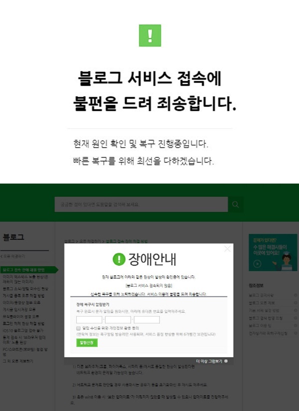 네이버 블로그 오류 (사진: 네이버)