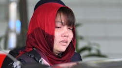 도안 티 후옹.