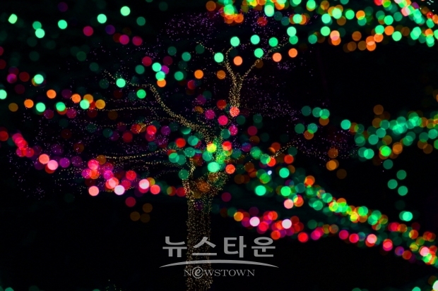 김광헌 사진전 ‘은하수의 계수나무’(김한정 기자)