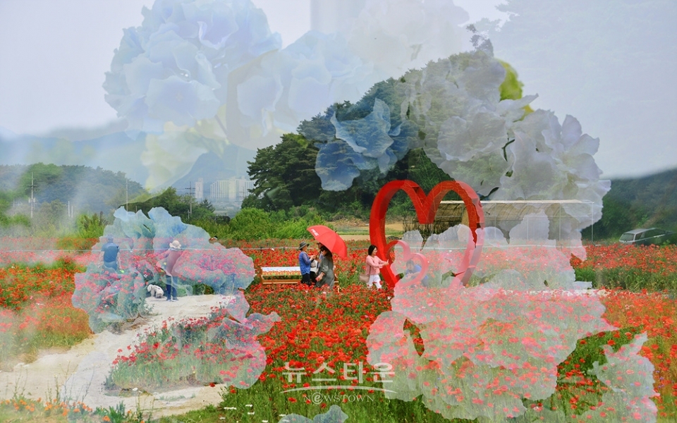 다중촬영으로 사진찍기