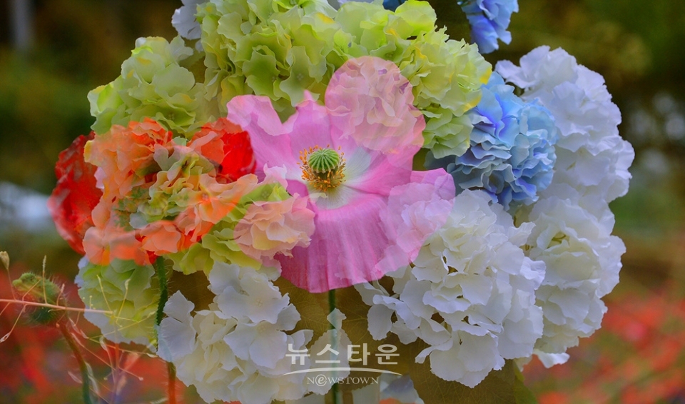 다중촬영으로 사진찍기
