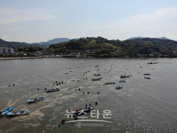 재첩 잡이가 한창인 섬진강