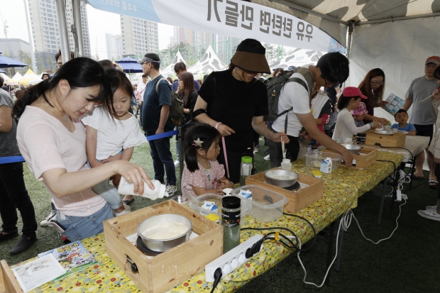 세계 우유의 날을 맞아 열린 화성시 밀크업 페스티벌 체험프로그램에 참여한 가족들이 우유 탄탄면 만들기를 하고 있는 모습