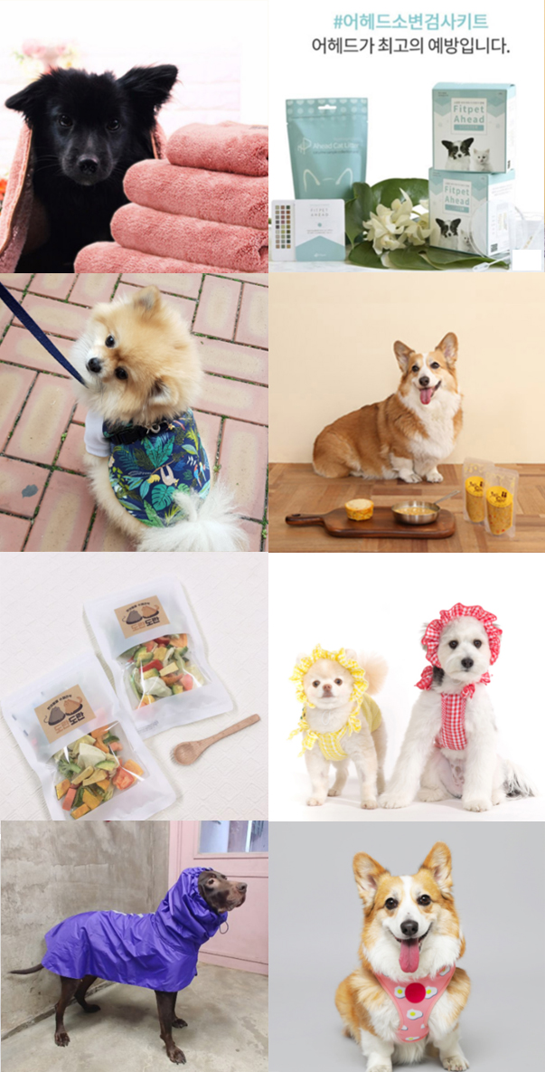 (사진제공: 펫케어)