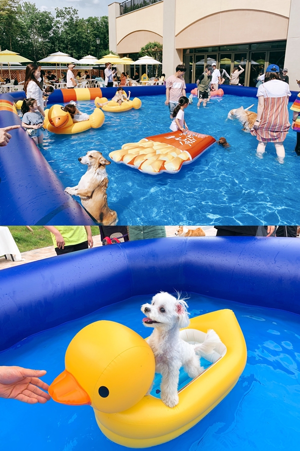 (사진: 펫케어페스티벌 제공)