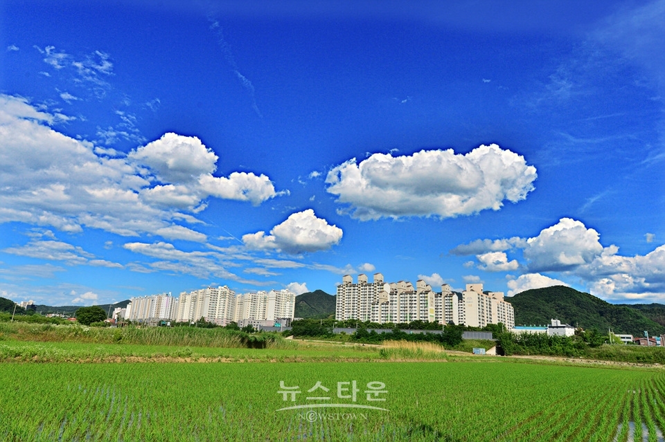 농촌풍경과 파랗고 맑은 하늘