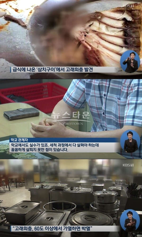 고래회충 (사진: kbs1)