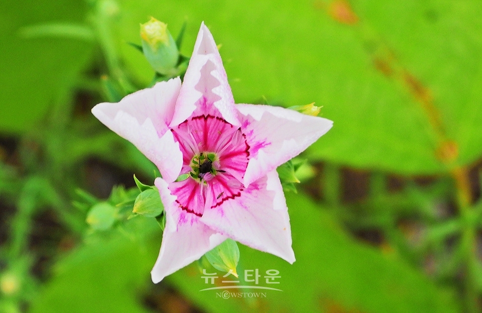 농촌의 풍경
