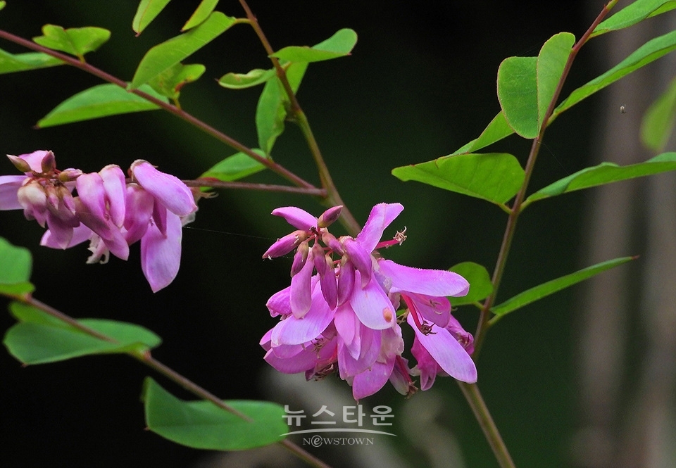 농촌의 풍경