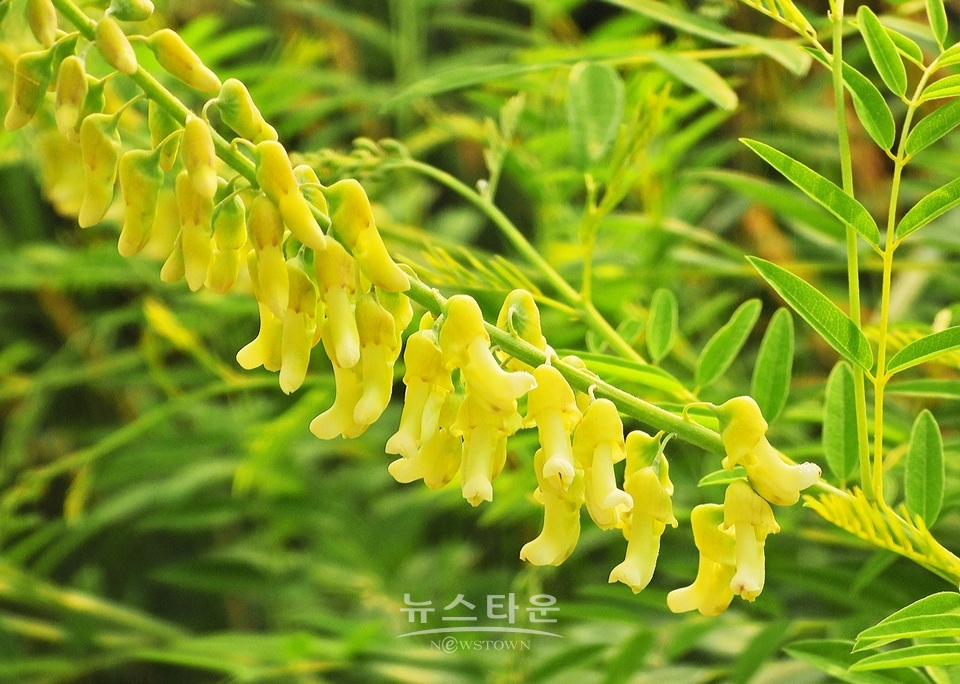 농촌의 풍경