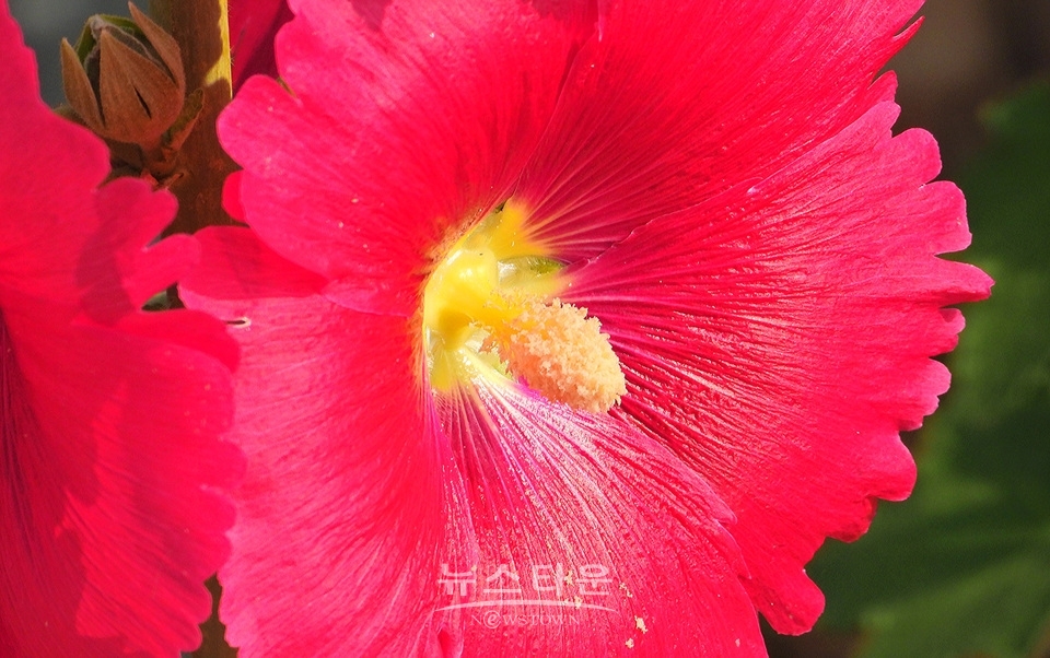 농촌의 풍경