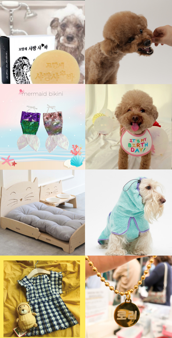 사진제공: 펫케어