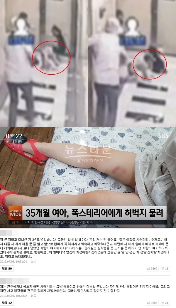 폭스테리어 (사진: SBS, 포털사이트)