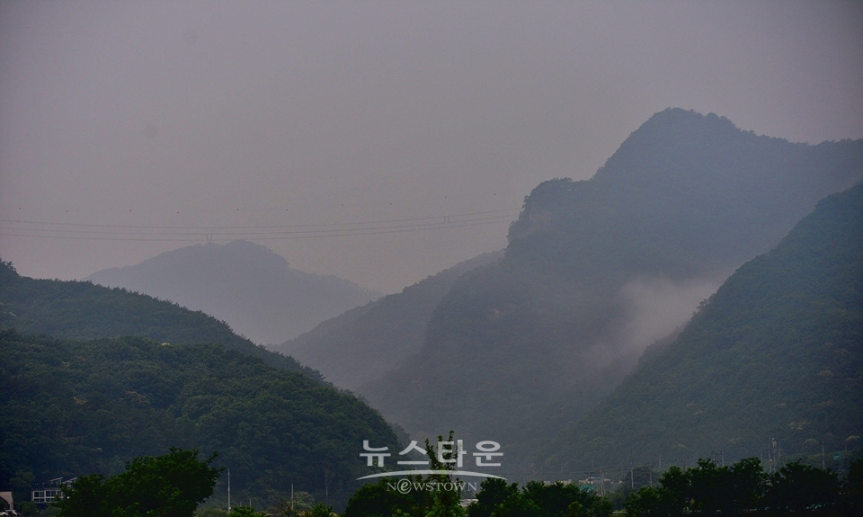 접사렌즈로 찍은 사진