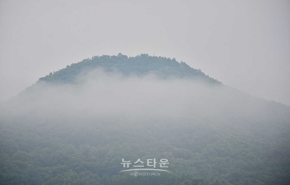 접사렌즈로 찍은 사진