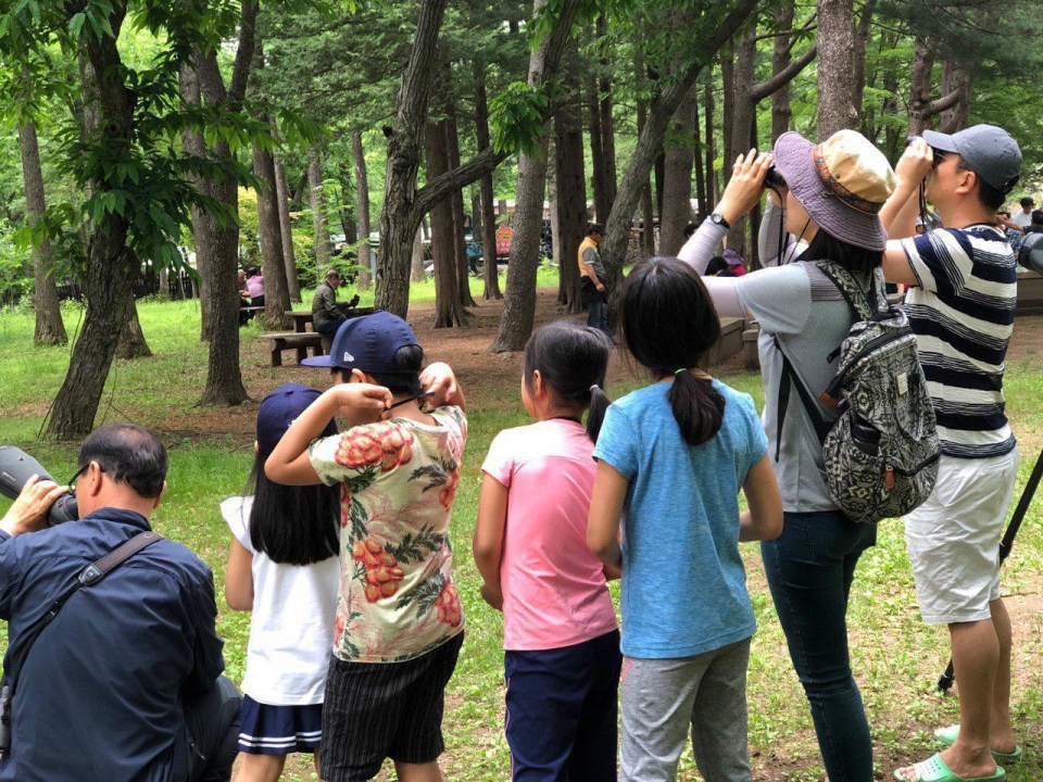 춘천남이섬 탐조체험 딱따구리 학교