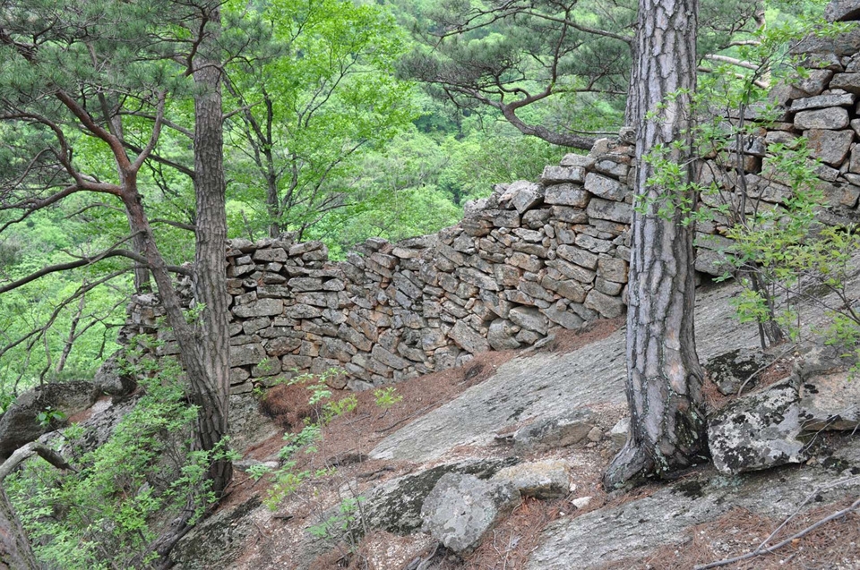 인제 한계산성