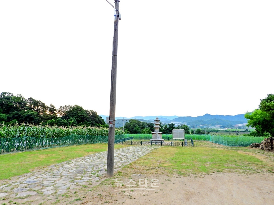 흥법사지삼층석탑(興法寺地 三層石塔),진공대사탑비(眞空大師塔碑)