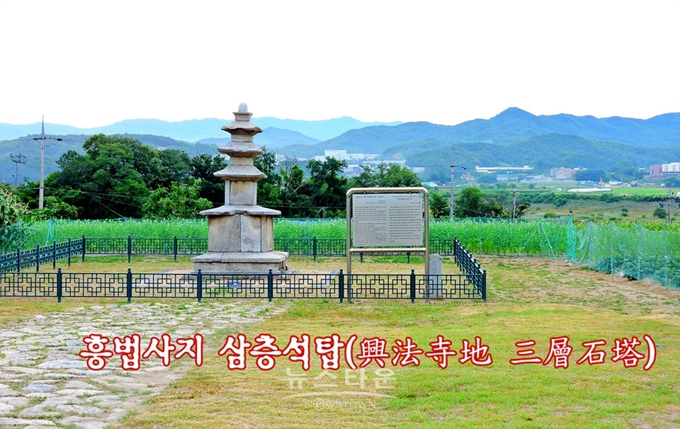 흥법사지삼층석탑(興法寺地 三層石塔),진공대사탑비(眞空大師塔碑)