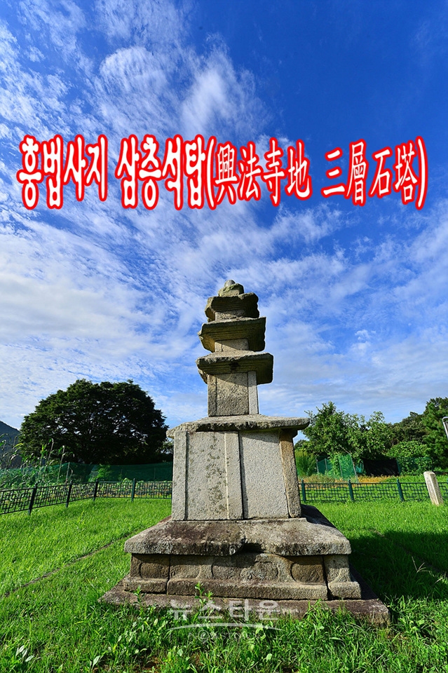 흥법사지삼층석탑(興法寺地 三層石塔),진공대사탑비(眞空大師塔碑)