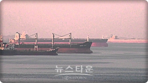 독일은 유럽차원의 호위작전은 긍정적으로 검토하고 있는 것으로 나타났다. 독일에서는 유럽 차원의 호위 작전에 대해서는 호의적인 목소리도 나오고 있지만, 미국 주도의 호위 연합체에 대해선 상당히 부정적이다.